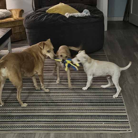 the No Numbers, Box fun - Picture 4 of 4